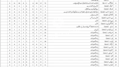 College Education Department Non Teaching Staff Jobs 2024