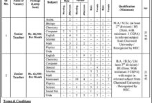 DPS Sahiwal Jobs 2025
