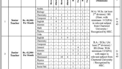 DPS Sahiwal Jobs 2025