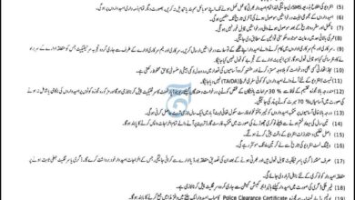 Forest Department KPK Jobs June 2025
