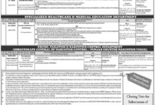 PPSC Jobs 2025 Advertisement No 17