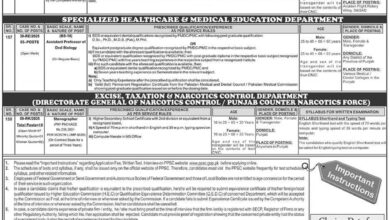 PPSC Jobs 2025 Advertisement No 17