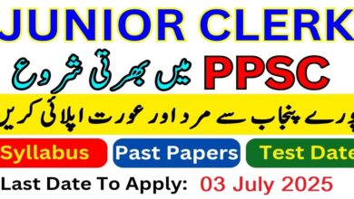 PPSC Junior Clerk Jobs 2025
