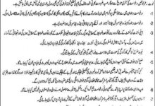 Sanitary Petrol Workers Jobs 2025