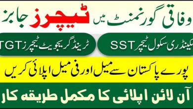 FGEI SST and TGT Jobs 2025