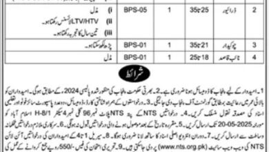 Punjab Labour Court 2025 Latest Advertisement Online Apply