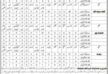School Education Department Balochistan Jobs 2025