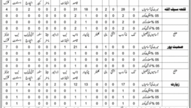 School Education Department Balochistan Jobs 2025