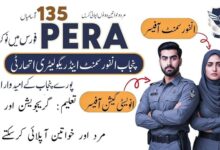 PERA Jobs July 2025 Latest Advertisement