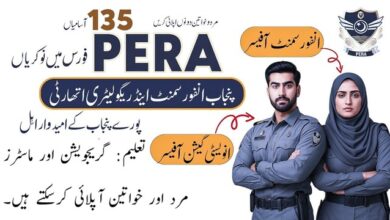 PERA Jobs July 2025 Latest Advertisement
