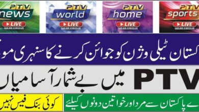 PTV Jobs 2025 Advertisement