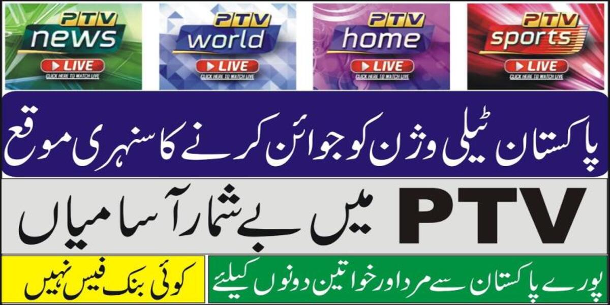 PTV Jobs 2025 Advertisement