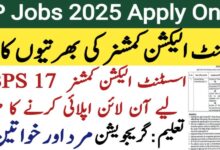 Assistant Election Commissioner Jobs 2025 Advertisement Syllabus Online Apply