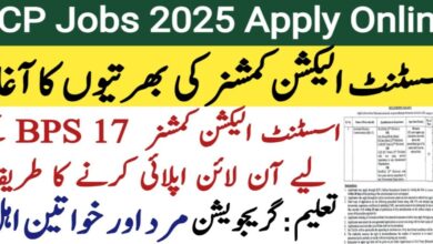 Assistant Election Commissioner Jobs 2025 Advertisement Syllabus Online Apply