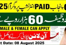 CM Punjab Internship Program 2025 Online Apply