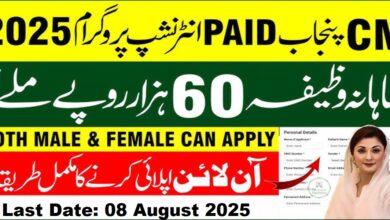 CM Punjab Internship Program 2025 Online Apply
