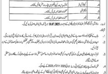 Irrigation Department Punjab Jobs July 2025