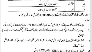 Irrigation Department Punjab Jobs July 2025