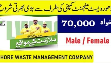 LWMC Jobs August 2025 Advertisement