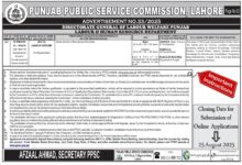 PPSC Jobs 2025 Advertisement No 33