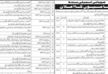Sindh Assembly Jobs 2025 Advertisement