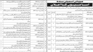 Sindh Assembly Jobs 2025 Advertisement