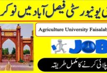 University of Agriculture Faisalabad Jobs 2025