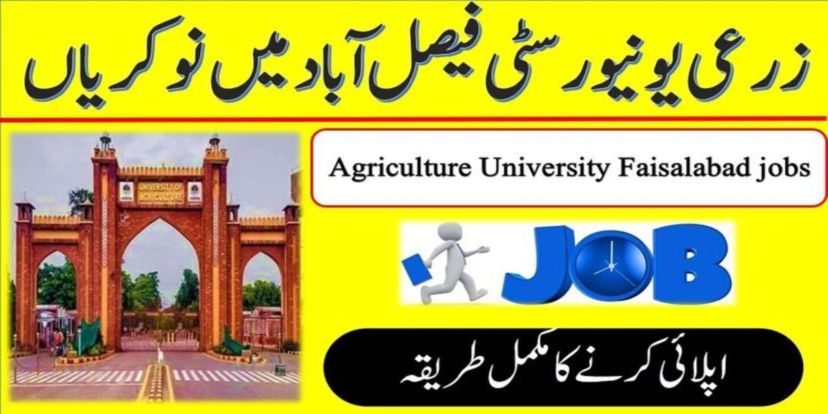 University of Agriculture Faisalabad Jobs 2025