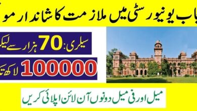University of Punjab Jobs 2025 Online Apply