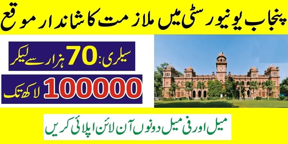 University of Punjab Jobs 2025 Online Apply