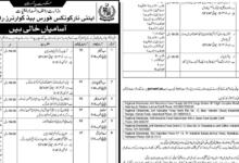 ANF Jobs 2026 Advertisement