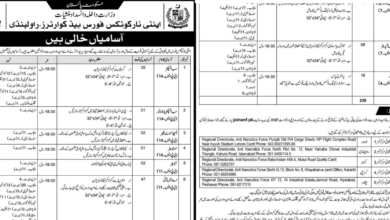 ANF Jobs 2026 Advertisement