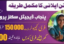 CM Punjab Digital Skills Program for Rural Areas Women