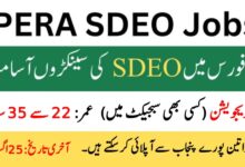 PERA SDEO Jobs 2025 Latest Advertisement
