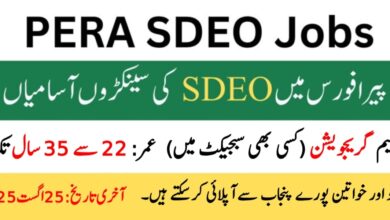 PERA SDEO Jobs 2025 Latest Advertisement