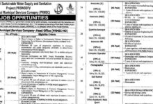 Punjab Rural Municipal Services Company Jobs 2025 PRMSC Apply Online