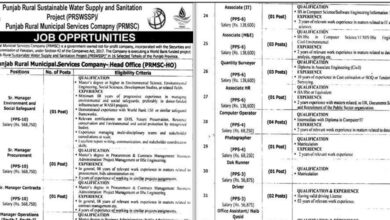 Punjab Rural Municipal Services Company Jobs 2025 PRMSC Apply Online