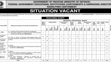 FGEI Jobs 2025 Latest Advertisement Online Apply