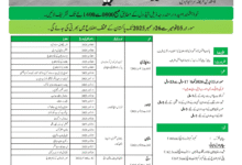 Defence Security Force DSF Jobs 2025