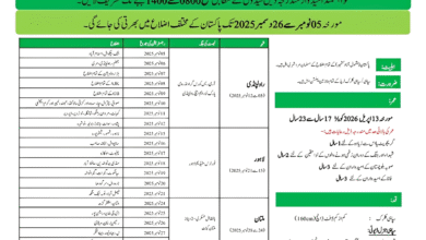 Defence Security Force DSF Jobs 2025