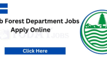 Latest Forest Department Jobs in Punjab 2026
