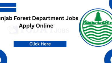 Latest Forest Department Jobs in Punjab 2026