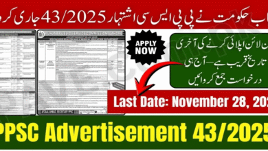 PPSC ESE Jobs 2025 Online Apply