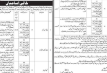 Excise Taxation and Narcotics Control Department Sindh Jobs 2026