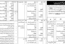 Prison Department Punjab Jobs 2026 Advertisement