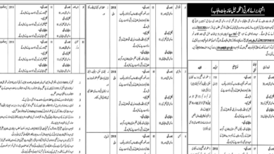 Prison Department Punjab Jobs 2026 Advertisement