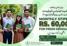 CM Punjab Climate Leadership Development Program 2026 Online Apply