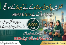 OEC Teaching Jobs in Qatar 2026